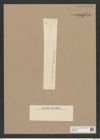 Diatomeae indet. Zeichnungen Sammlung Grunow Nr. 9751 (NHMW-BOT-W0379735)